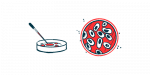 Sanfilippo type B | Sanfilippo Syndrome News | illustration of petri dishes